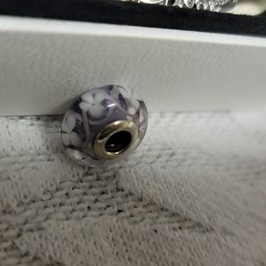 Accepting offers Pandora Murano Charm